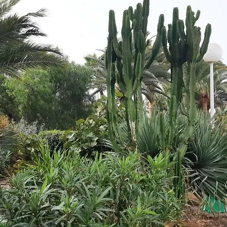 Lägenhet Heliopolis San Agustín